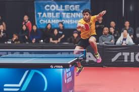Image result for Generation 2 Table Tennis Club
