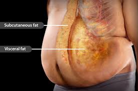 Image result for fat