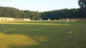 Image result for Hollingworth Cricket Club