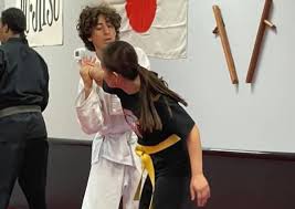 Image result for Mirfield Martial Arts Club