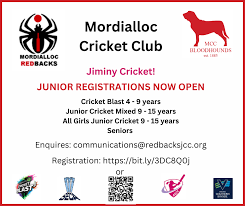 Image result for Chiddingly Cricket Club