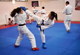 Image result for Highgate Martial Arts Academy