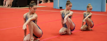 Image result for Southampton Gymnastics