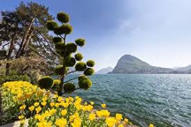 Image result for "Parco Ciani"