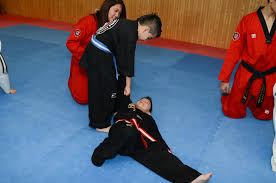 Image result for Chang's Hapkido Club