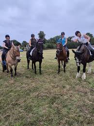 Image result for Bookham Riding School