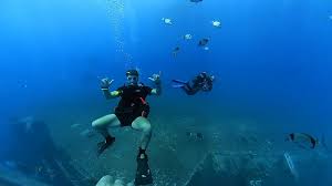 Image result for Luton British Sub Aqua Club