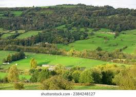 Image result for Matlock Rugby Club