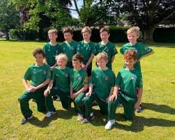 Image result for Grayshott Cricket Club