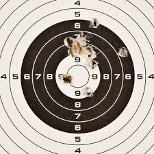 Image result for Tunbridge Wells Target Shooting Club