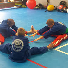 Image result for Cobra Karate Club