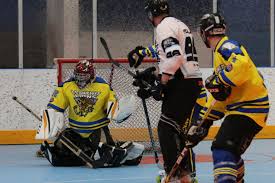 Image result for Llantwit Lions