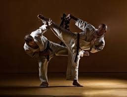 Image result for Kyokushin Karate
