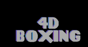 Image result for 4D Sports Boxing