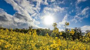 Image result for wetter