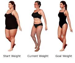 The Best Weight Loss Programs And Fast Weight Loss