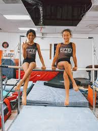 Image result for Acrobrats