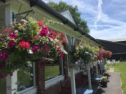 Image result for Caterham Bowling Club