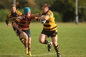 Image result for Ipswich Ym Rugby Union Football Club