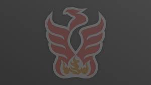 Image result for Phoenix Netball Club