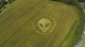 Image result for crop circle