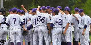 Image result for Thieves - The University Of Nottingham Baseball Club