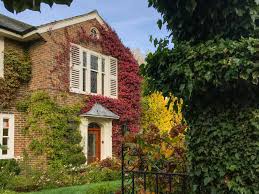 Image result for Hampstead Bowmen