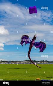 Image result for Poole Kite Fliers