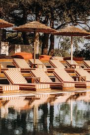 Image result for Llanelli Octopush Club