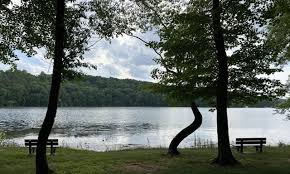 Image result for William Shrewsbury School Table Tennis Club