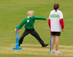 Image result for Much Wenlock Cricket Club