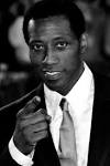 nicogenin - Wesley Snipes