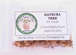 Attēlu rezultāti vaicājumam “Cercidiphyllum japonicum fruit”