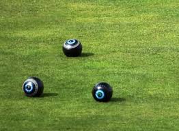 Image result for Hotham Bowls Club