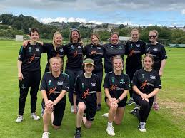 Image result for Buckhorn Weston Cricket Club