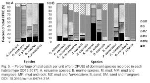 Image result for Chelon tricuspidens