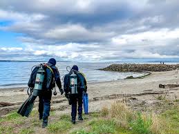 Image result for Seabug Divers