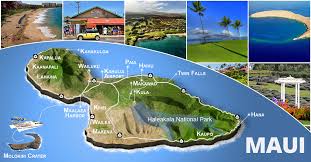 「VHAPUNI　MAO」の画像検索結果