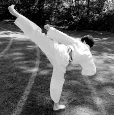 Image result for Thames Valley Shotokan Karate