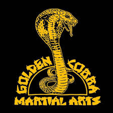 Image result for Cobra Karate Club