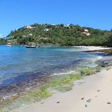 Image result for Hull Kung Fu