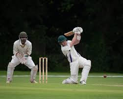 Image result for Saffron Walden Cricket Club
