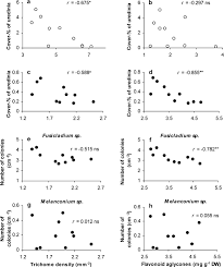Attēlu rezultāti vaicājumam “Melampsoridium sp.”