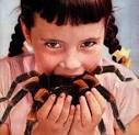 Brazilian Wandering Spider