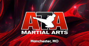 Image result for ATA Martial Arts Manchester
