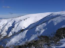 Image result for Hotham Bowls Club