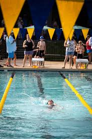 Image result for Sedgefield 75 Swimming Club