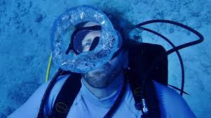 Image result for Duchy Divers