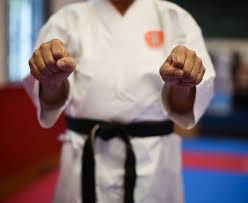 Image result for Windsor Karate Club