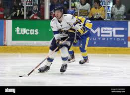 Image result for Romford Raiders
